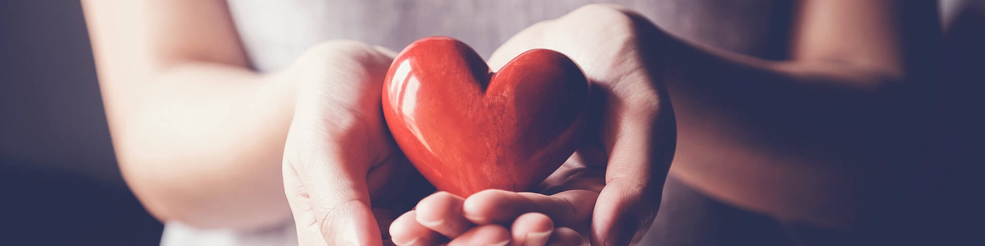 Hearts For Paws Tribute Garden