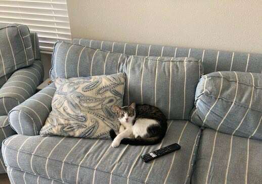 Casper_at_home.jpg