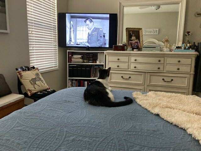 Casper_at_home_2.jpg