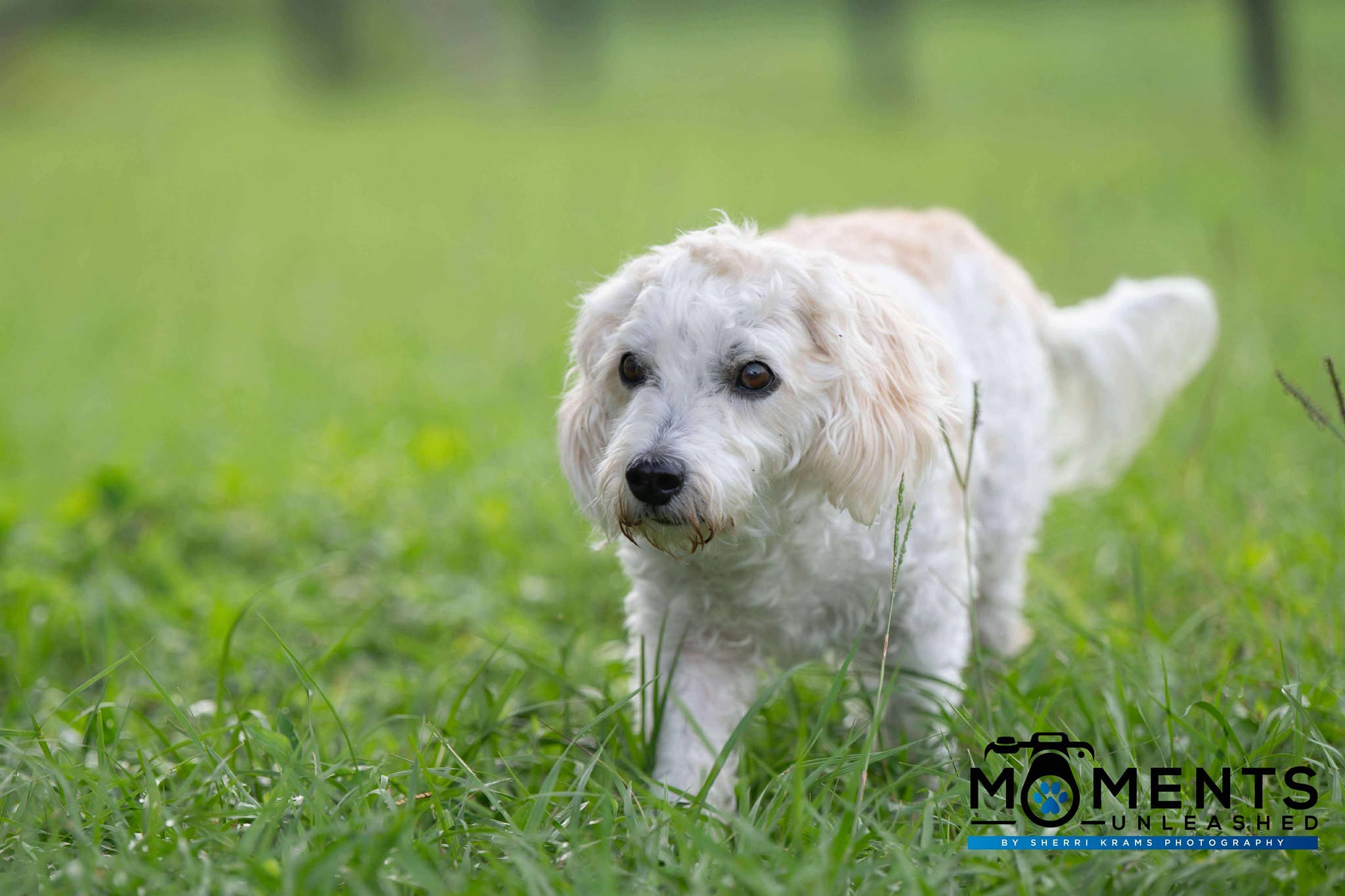chloe-0001.jpg