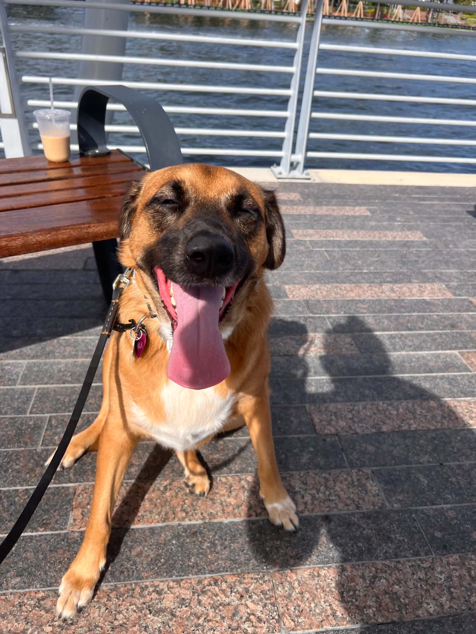 nala-0003.jpg