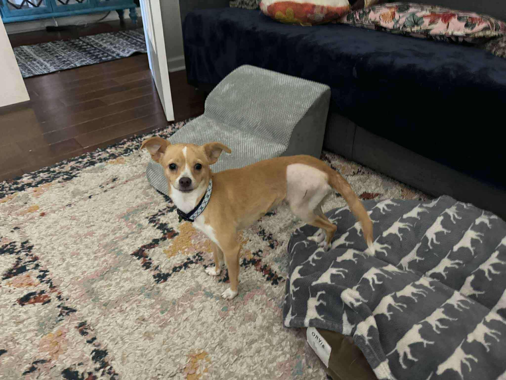peanut_butter_2.jpg