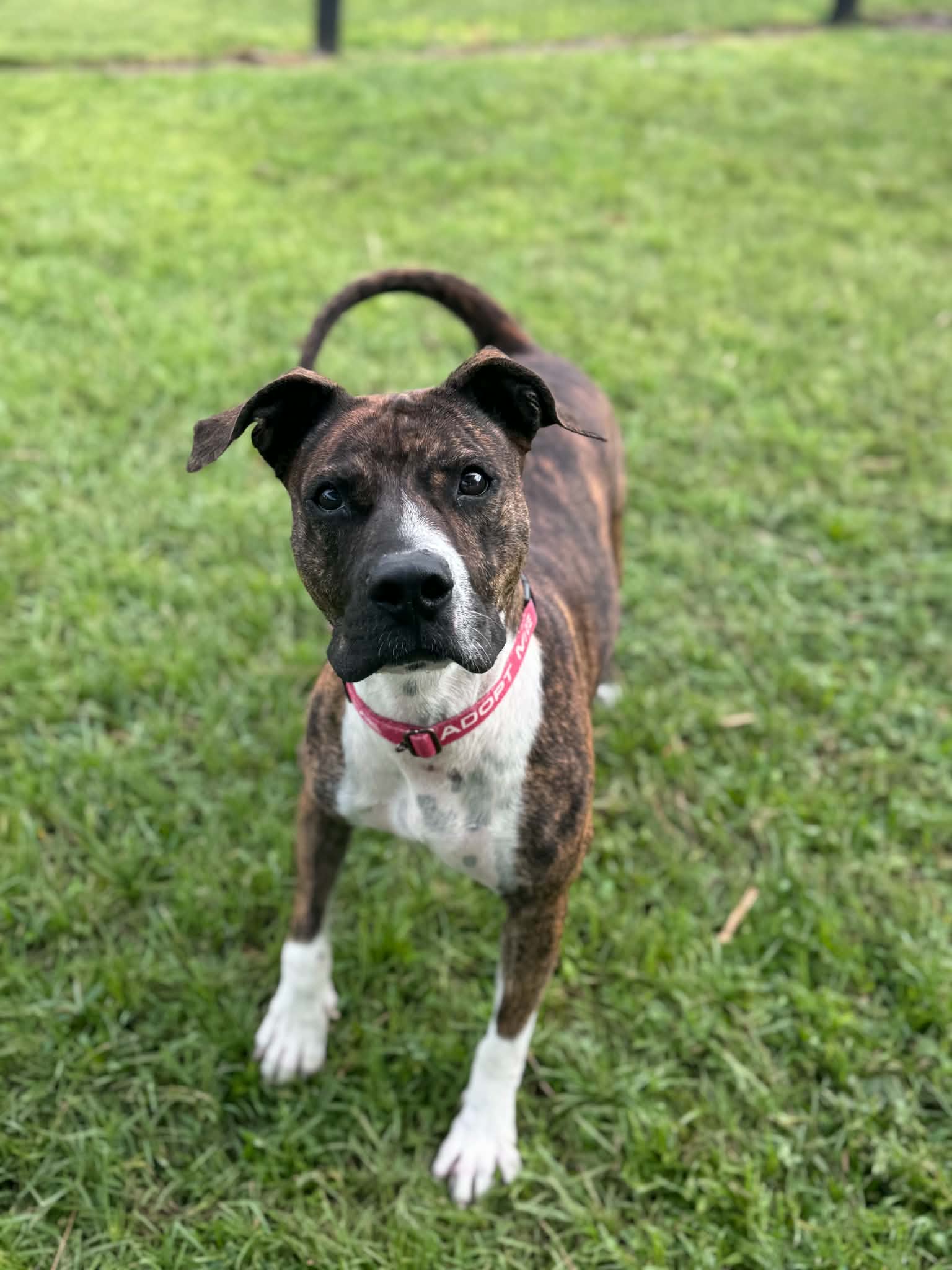 pepper_4-0001.jpg
