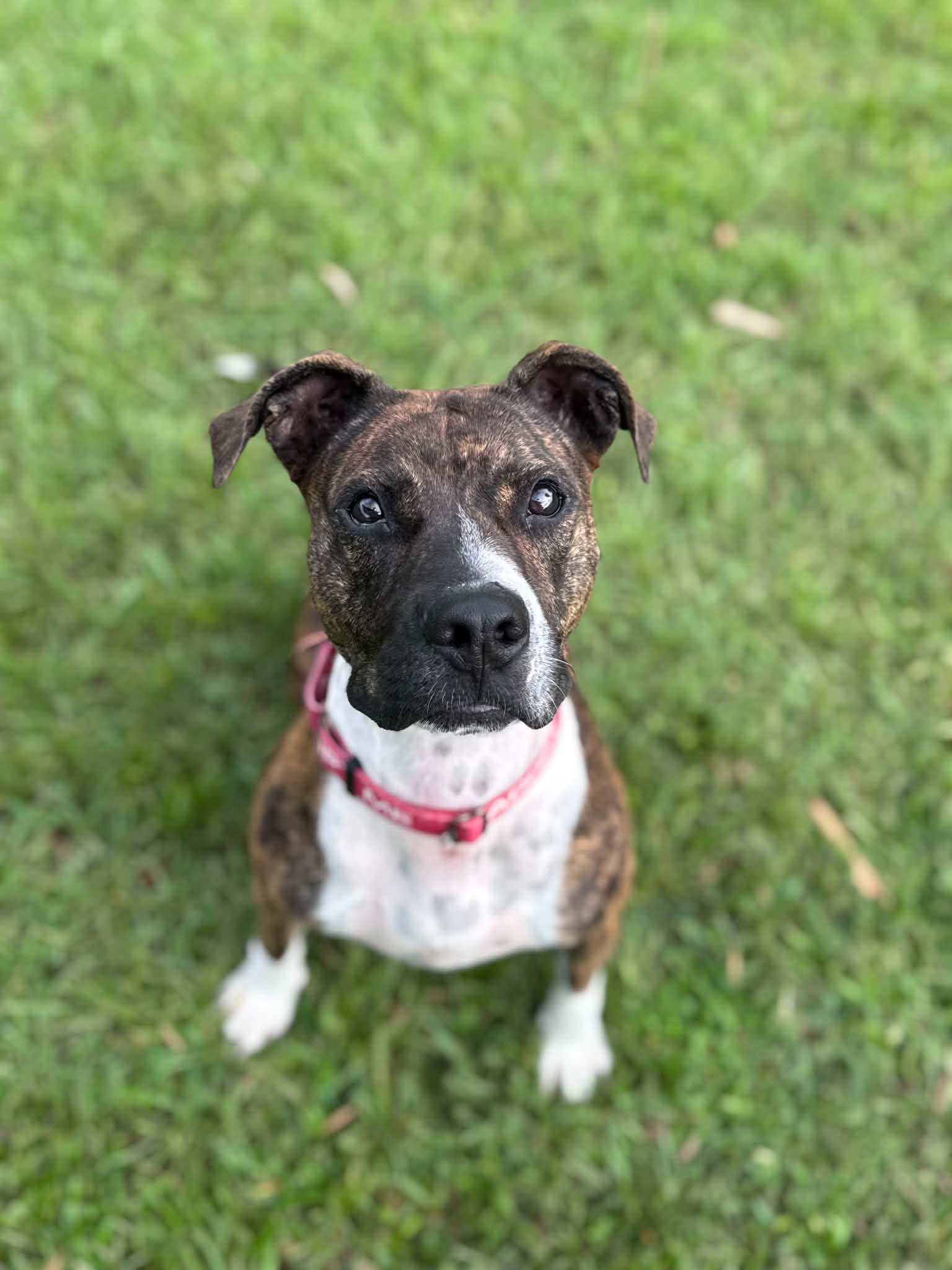 pepper_5-0001.jpg