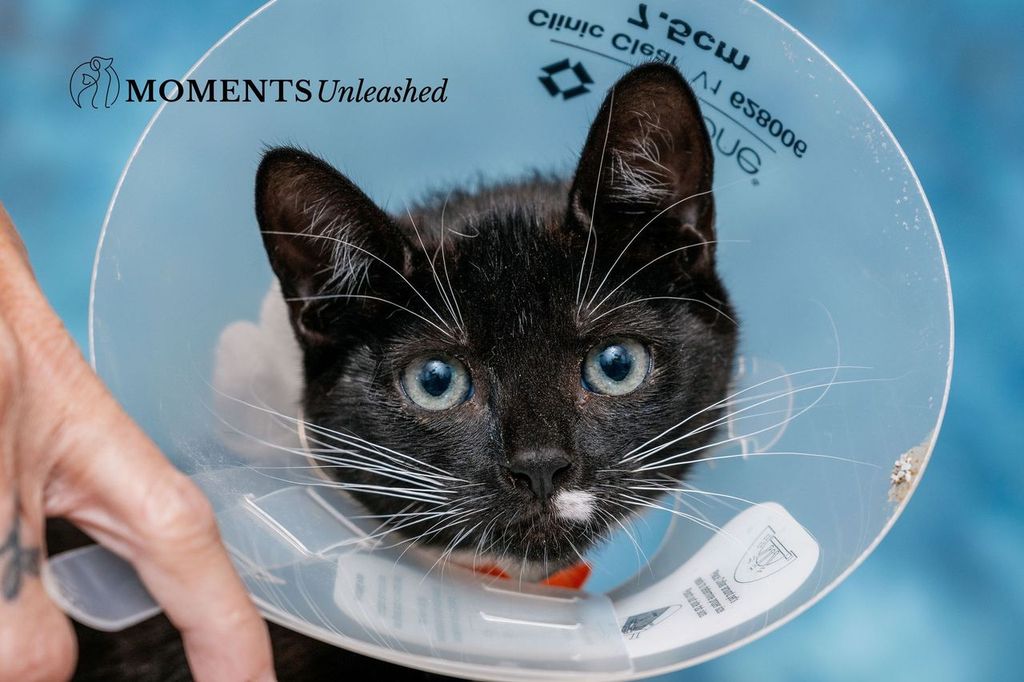 publix_3.jpeg