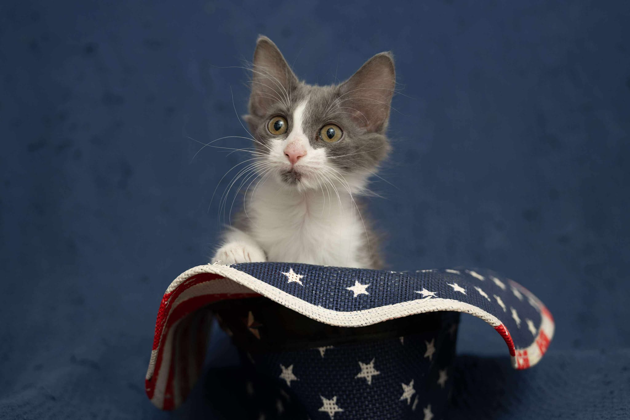 smudge.jpg