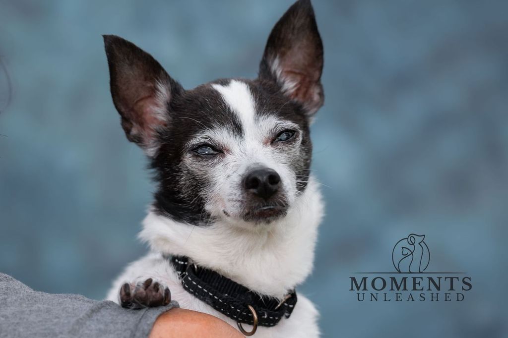 tomato_2.jpeg